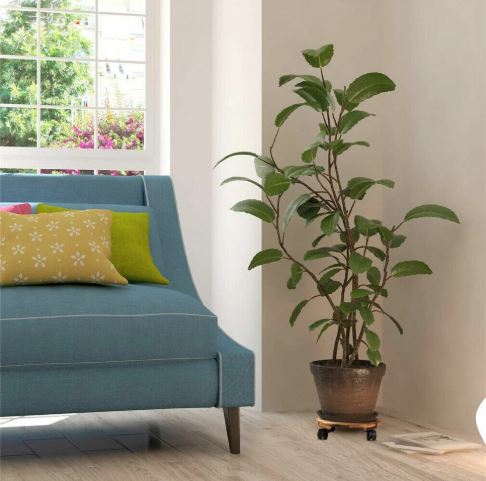 Wooden Plant Roller Stand with Lockable Wheels Caddy Planter Trolley